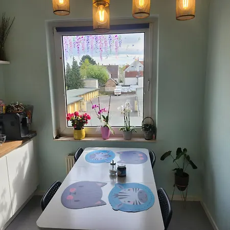 Full House 10 Min To Centre, Direct Train To Airport And Self Check-in